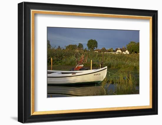 Fishing Boat in the Reed of the Saaler Bodden Close Ahrenshoop-Althagen-Uwe Steffens-Framed Photographic Print