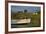 Fishing Boat in the Reed of the Saaler Bodden Close Ahrenshoop-Althagen-Uwe Steffens-Framed Photographic Print