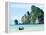 Fishing Boat on Ko Phi Phi Island, Andaman Sea, Thailand, Southeast Asia, Asia-Nico Tondini-Framed Premier Image Canvas