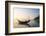 Fishing Boat on Maungmagan Beach at Sunset, Dawei, Tanintharyi Region, Myanmar (Burma), Asia-Matthew Williams-Ellis-Framed Photographic Print