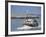 Fishing Boat Returning from Fishing, Deauville, Normandy, France-Guy Thouvenin-Framed Photographic Print