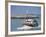 Fishing Boat Returning from Fishing, Deauville, Normandy, France-Guy Thouvenin-Framed Photographic Print