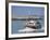 Fishing Boat Returning from Fishing, Deauville, Normandy, France-Guy Thouvenin-Framed Photographic Print