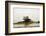 Fishing Boat, Sunrise Ashore at Channel Island, Alaska-null-Framed Photographic Print