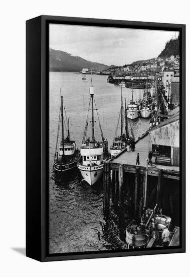 Fishing Boats along shore in Southeastern Alaska Photograph - Alaska-Lantern Press-Framed Stretched Canvas