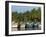 Fishing Boats Along the Backwaters, Near Alappuzha (Alleppey), Kerala, India, Asia-Stuart Black-Framed Photographic Print