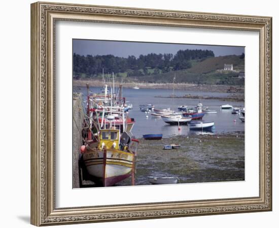 Fishing Boats and Pleasure Boats in Harbour, Cote De Granit Rose, Brittany, France-David Hughes-Framed Photographic Print