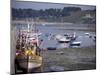 Fishing Boats and Pleasure Boats in Harbour, Cote De Granit Rose, Brittany, France-David Hughes-Mounted Photographic Print
