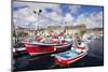 Fishing Boats at the Old Port of Puerto De Mogan-Markus Lange-Mounted Photographic Print