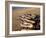 Fishing Boats, Cromer, Norfolk, England, United Kingdom-Charcrit Boonsom-Framed Photographic Print