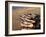 Fishing Boats, Cromer, Norfolk, England, United Kingdom-Charcrit Boonsom-Framed Photographic Print