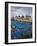 Fishing Boats, Essaouira, Morocco-William Sutton-Framed Photographic Print