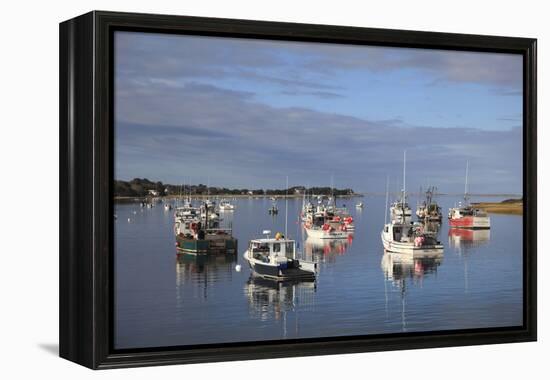 Fishing Boats, Harbor, Chatham, Cape Cod, Massachusetts, New England, Usa-Wendy Connett-Framed Premier Image Canvas