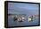 Fishing Boats, Harbor, Chatham, Cape Cod, Massachusetts, New England, Usa-Wendy Connett-Framed Premier Image Canvas