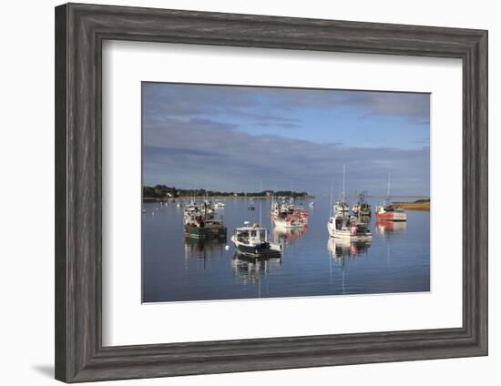 Fishing Boats, Harbor, Chatham, Cape Cod, Massachusetts, New England, Usa-Wendy Connett-Framed Photographic Print