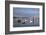 Fishing Boats, Harbor, Chatham, Cape Cod, Massachusetts, New England, Usa-Wendy Connett-Framed Photographic Print