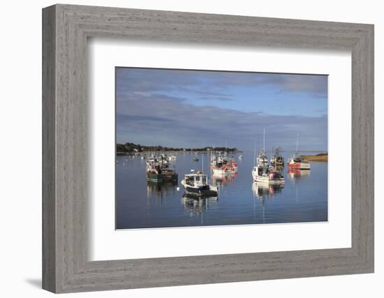 Fishing Boats, Harbor, Chatham, Cape Cod, Massachusetts, New England, Usa-Wendy Connett-Framed Photographic Print