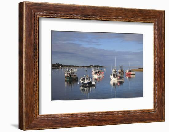 Fishing Boats, Harbor, Chatham, Cape Cod, Massachusetts, New England, Usa-Wendy Connett-Framed Photographic Print