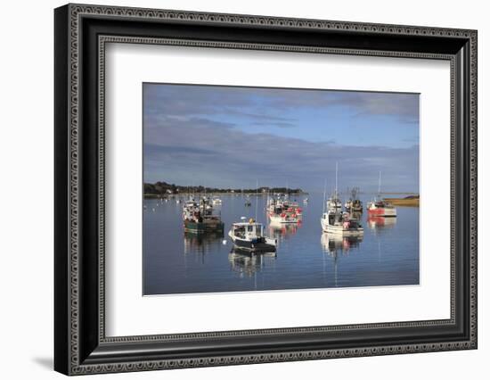 Fishing Boats, Harbor, Chatham, Cape Cod, Massachusetts, New England, Usa-Wendy Connett-Framed Photographic Print