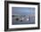 Fishing Boats, Harbor, Chatham, Cape Cod, Massachusetts, New England, Usa-Wendy Connett-Framed Photographic Print