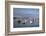 Fishing Boats, Harbor, Chatham, Cape Cod, Massachusetts, New England, Usa-Wendy Connett-Framed Premium Photographic Print