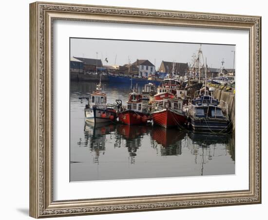 Fishing Boats, Howth Harbour, County Dublin, Republic Ireland, Europe-David Lomax-Framed Photographic Print