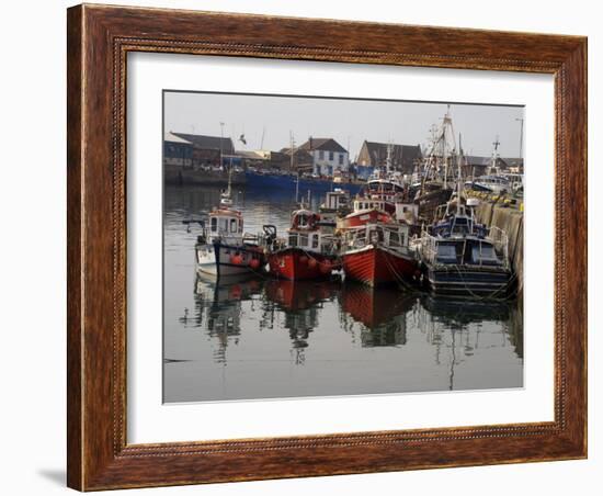 Fishing Boats, Howth Harbour, County Dublin, Republic Ireland, Europe-David Lomax-Framed Photographic Print