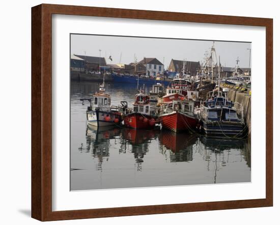 Fishing Boats, Howth Harbour, County Dublin, Republic Ireland, Europe-David Lomax-Framed Photographic Print