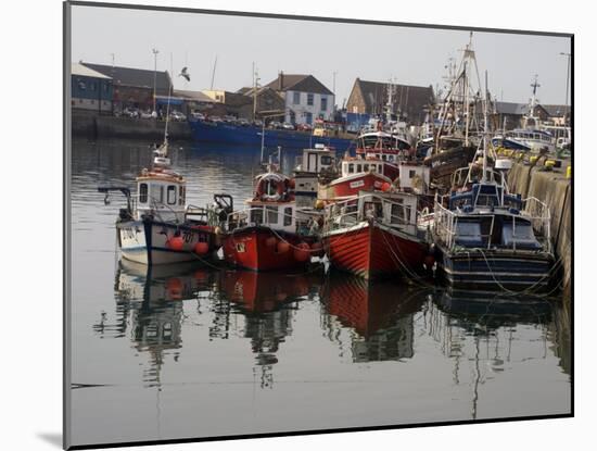 Fishing Boats, Howth Harbour, County Dublin, Republic Ireland, Europe-David Lomax-Mounted Photographic Print