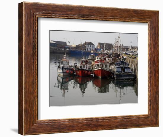 Fishing Boats, Howth Harbour, County Dublin, Republic Ireland, Europe-David Lomax-Framed Photographic Print