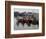 Fishing Boats, Howth Harbour, County Dublin, Republic Ireland, Europe-David Lomax-Framed Photographic Print