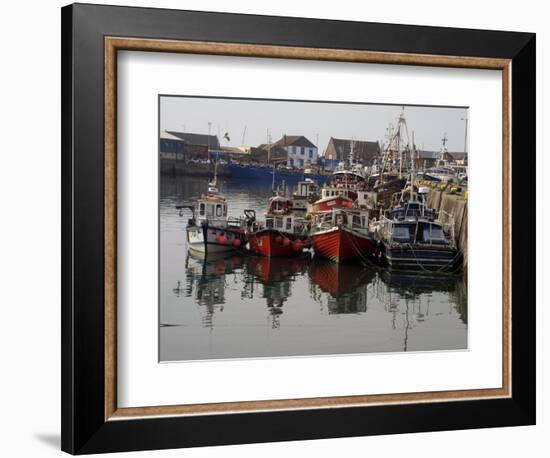 Fishing Boats, Howth Harbour, County Dublin, Republic Ireland, Europe-David Lomax-Framed Photographic Print