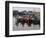 Fishing Boats, Howth Harbour, County Dublin, Republic Ireland, Europe-David Lomax-Framed Photographic Print