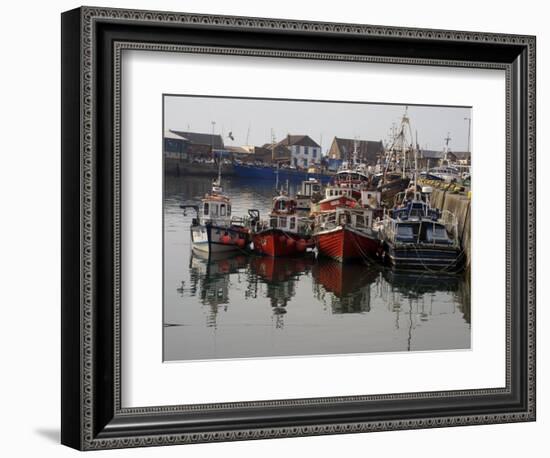 Fishing Boats, Howth Harbour, County Dublin, Republic Ireland, Europe-David Lomax-Framed Photographic Print