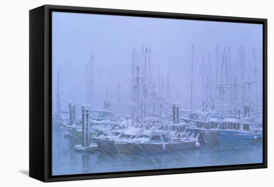 Fishing Boats In Harbour During a Blizzard-David Nunuk-Framed Premier Image Canvas