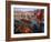 Fishing Boats in the Harbour, Whitby, North Yorkshire, England-Paul Harris-Framed Photographic Print