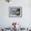 Fishing Boats in the Port of Marina Grande, Capri Island, Bay of Naples, Campania, Italy, Europe-Richard Cummins-Framed Photographic Print displayed on a wall