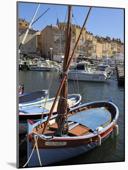 Fishing Boats in Vieux Port Harbour, St. Tropez, Var, Provence, Cote D'Azur, France, Mediterranean,-Peter Richardson-Mounted Photographic Print