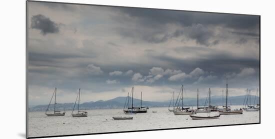 Fishing Boats Line Up Near the Coast of Florianopolis Island in Santa Catarina, Brazil-Alex Saberi-Mounted Photographic Print