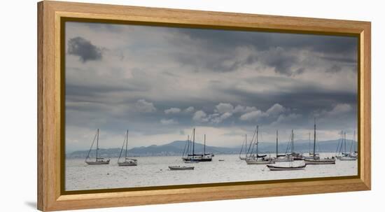 Fishing Boats Line Up Near the Coast of Florianopolis Island in Santa Catarina, Brazil-Alex Saberi-Framed Premier Image Canvas