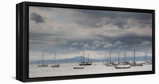 Fishing Boats Line Up Near the Coast of Florianopolis Island in Santa Catarina, Brazil-Alex Saberi-Framed Premier Image Canvas