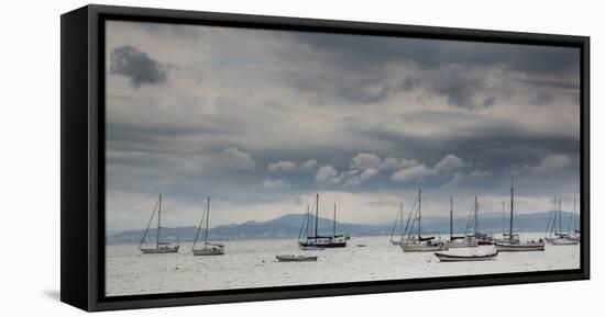 Fishing Boats Line Up Near the Coast of Florianopolis Island in Santa Catarina, Brazil-Alex Saberi-Framed Premier Image Canvas