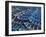 Fishing Boats Moored in the Harbour at Essaouira, Morocco-Julian Love-Framed Photographic Print