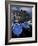 Fishing Boats Moored in the Port of Lipari, Sicily, Italy-Michele Molinari-Framed Photographic Print