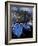 Fishing Boats Moored in the Port of Lipari, Sicily, Italy-Michele Molinari-Framed Photographic Print