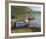 Fishing Boats On Lake Connemara-Clive Madgwick-Framed Giclee Print