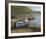 Fishing Boats On Lake Connemara-Clive Madgwick-Framed Giclee Print