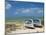 Fishing Boats on the Island of Rodrigues, Mauritius, Indian Ocean, Africa-null-Mounted Photographic Print