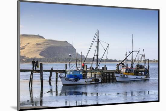 Fishing Boats on the Otago Peninsula, South Island, New Zealand, Pacific-Michael-Mounted Photographic Print