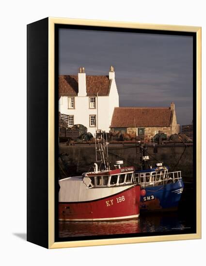 Fishing Boats, Pittenweem, Fife, Scotland, United Kingdom-Jonathan Hodson-Framed Premier Image Canvas